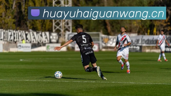 爱游戏体育官网首页登陆平台生态图