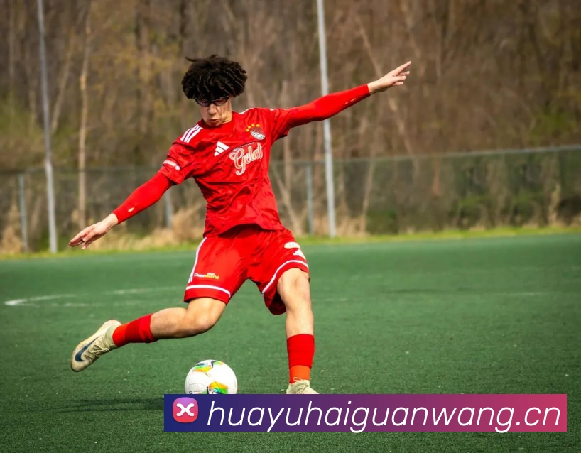 爱游戏体育官网首页登陆APP 封面图